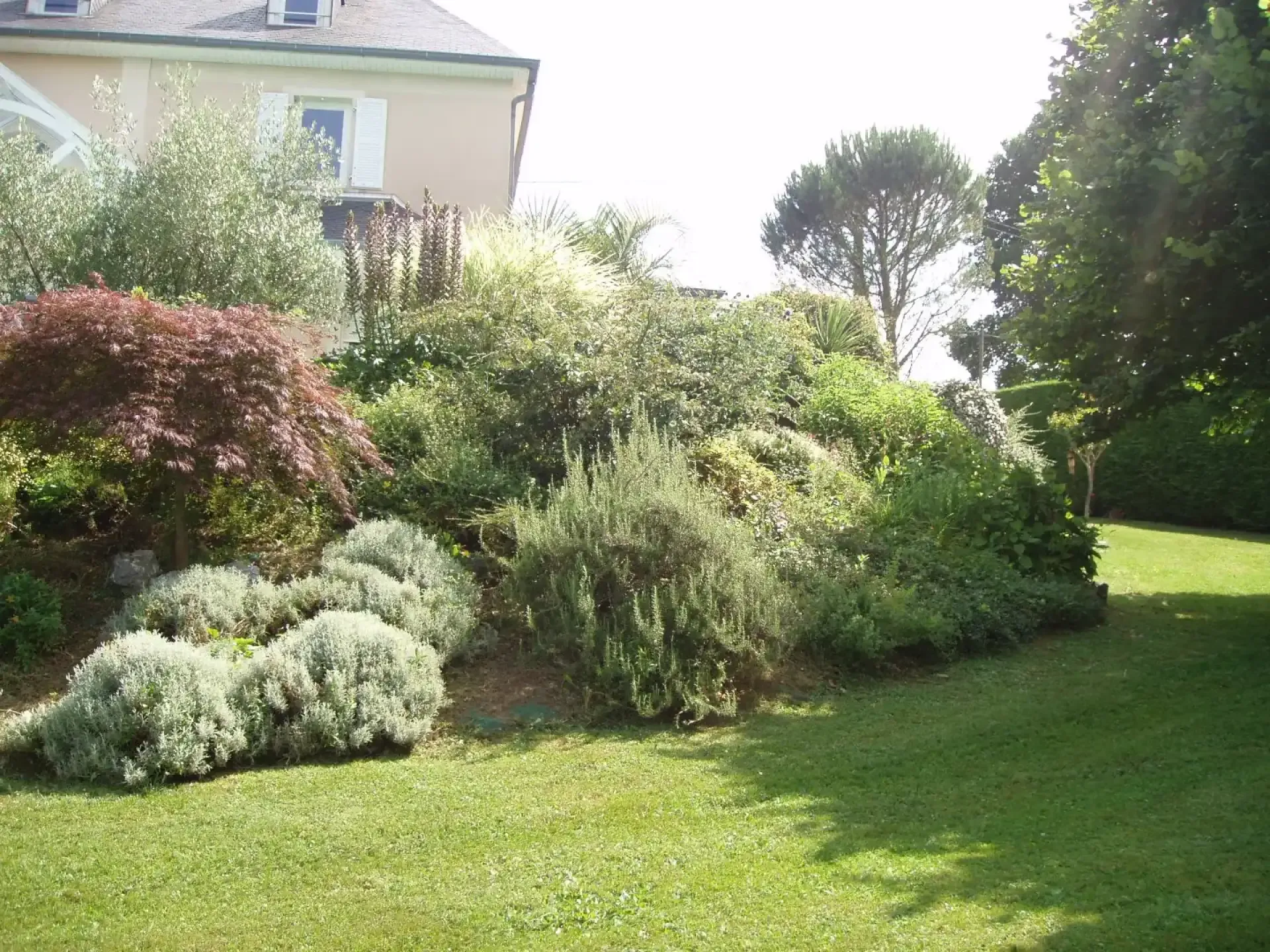 Jardin paysager résidentiel avec massifs variés, arbustes colorés et pelouse entretenue devant une maison.