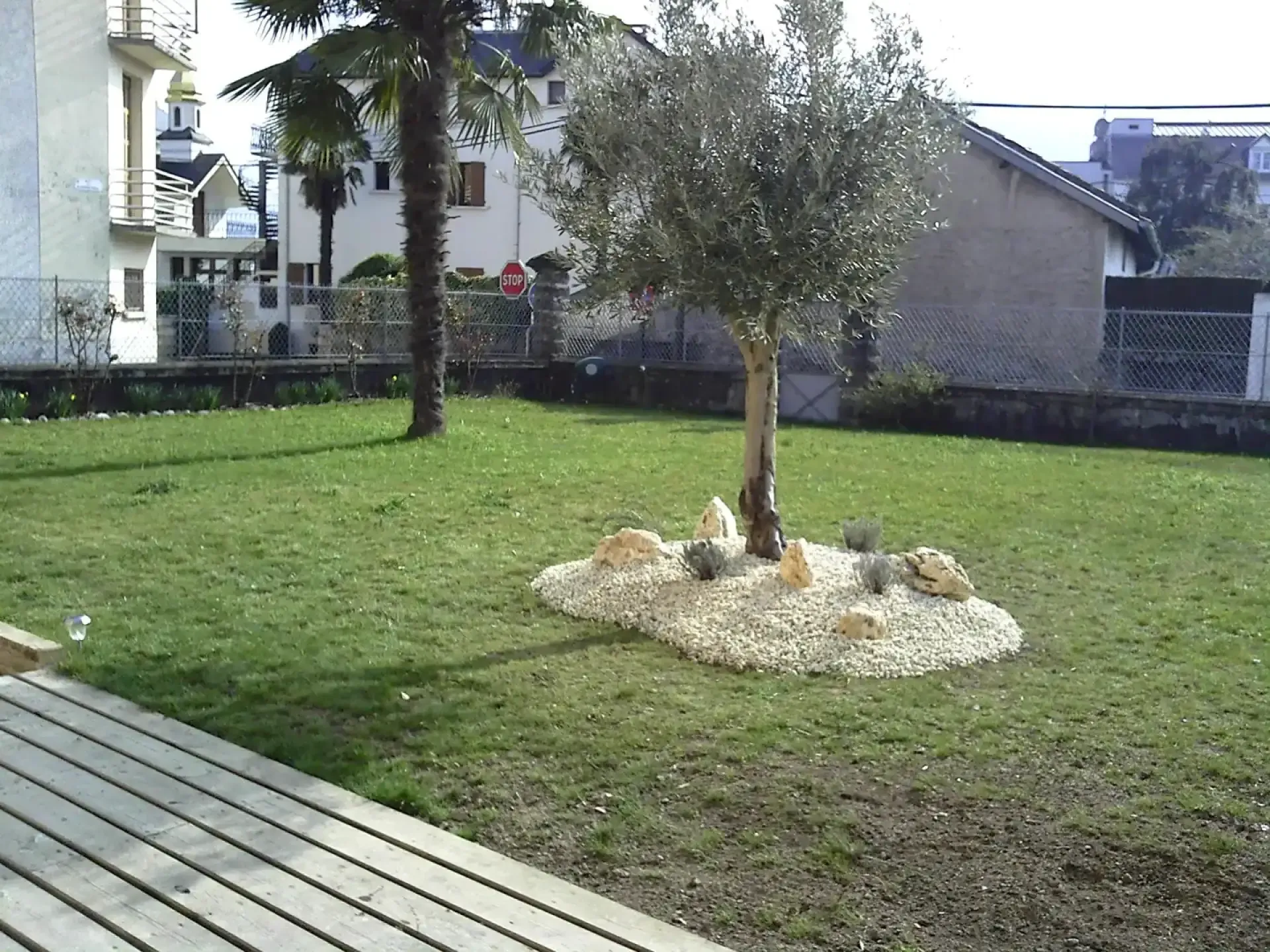 Jardin résidentiel engazonné avec palmiers, olivier et massifs de graviers blancs bordés de pierres décoratives.