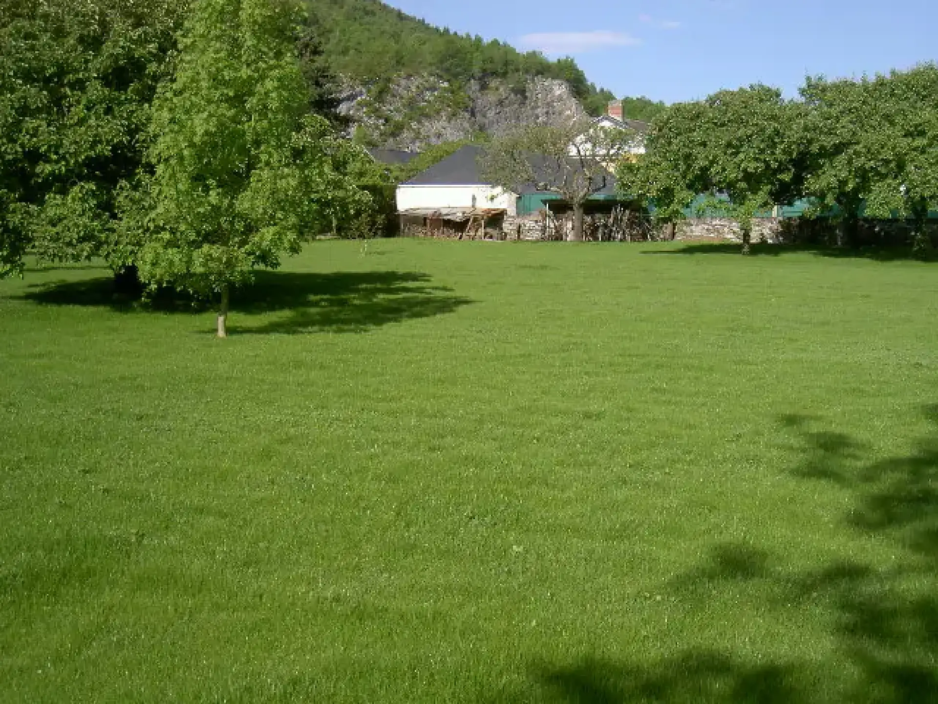 Grande pelouse entretenue dans un jardin arboré