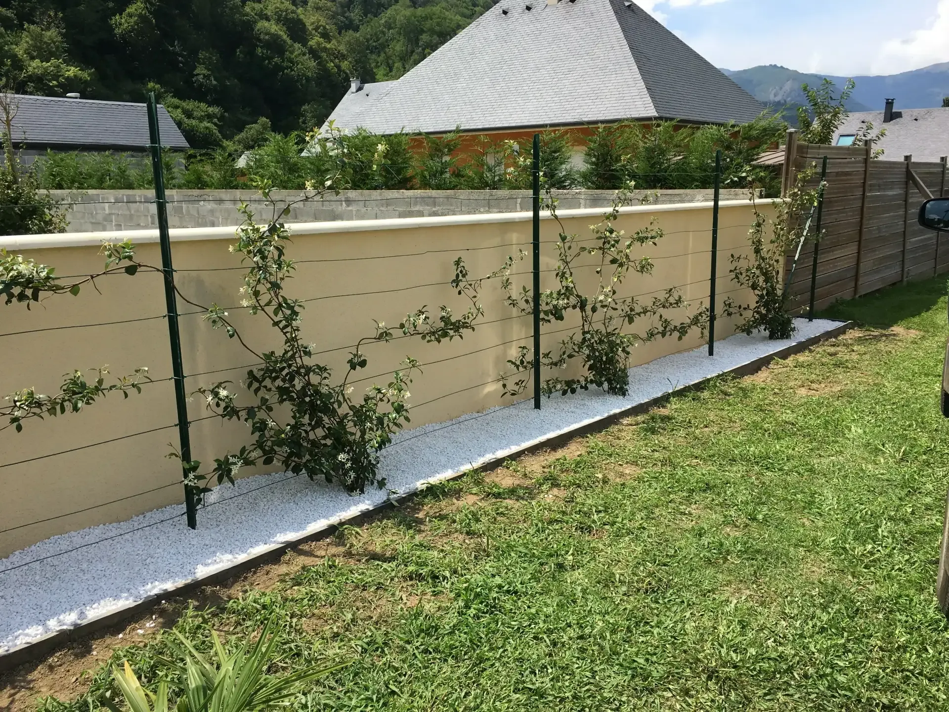 Clôture de jardin végétalisée bordée de gravier blanc et de pelouse
